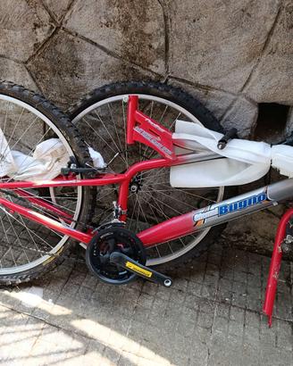 Mountain bike