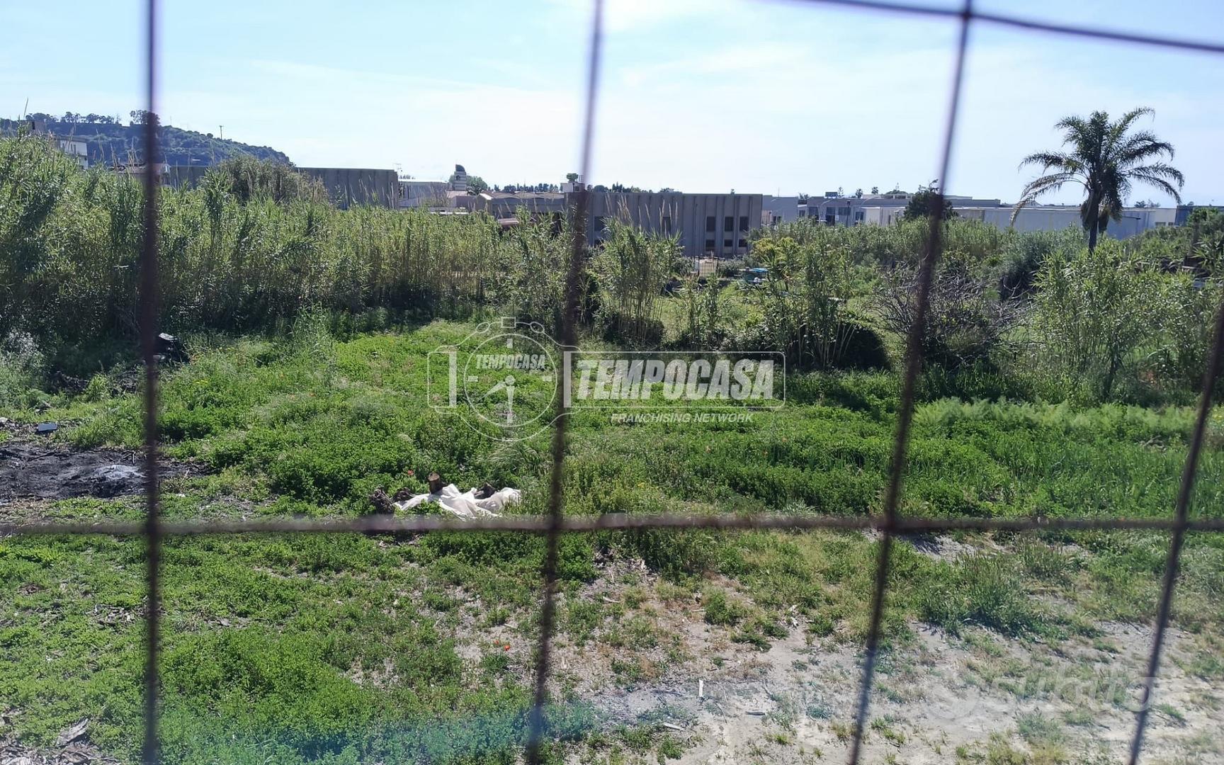Terreno Edificabile Vista Mare - Villafranca Tirre - Vista 5
