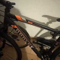 Bicicletta mountain bike