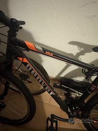 Bicicletta mountain bike