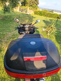 Yamaha Majesty 250 - 2003