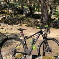 MTB cube carbonio