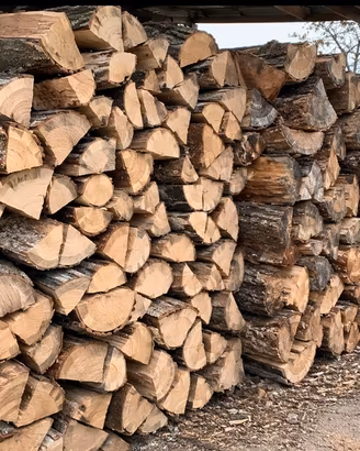 Legna da ardere faggio e quercia