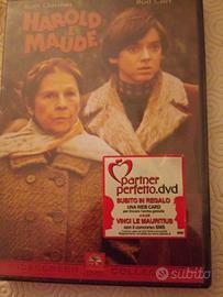 dvd - harold e maude