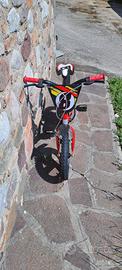 Bicicletta bambino bambina raggio 14