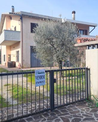 Semindipendente a Amelia