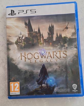 Hogwarts Legacy ps5 