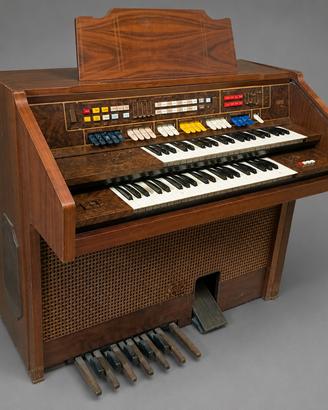 organo elettrico 