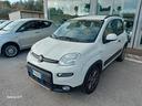 fiat-panda-0-9-metano-85-cv-trekking-5p