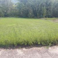 RGE 70/2021 - Tribunale di Urbino - Lotto 5