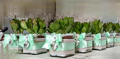 Kir 10 Bomboniera albero di Giada in vetro 