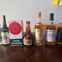 7 bottiglie in blocco ( whisky, liquori, cognac)