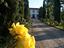 Immagine 3