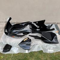 Carene pista Aprilia RSV 1000 06-09