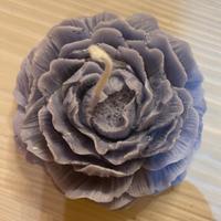 Rosa color lavanda al profumo di lavanda