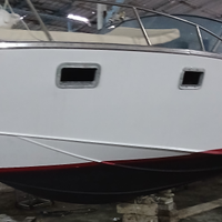 Squalo 28