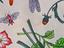 Immagine 6