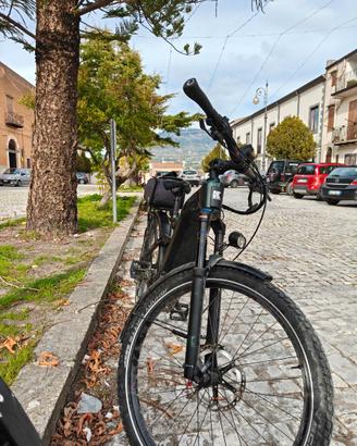 E-bike kettler