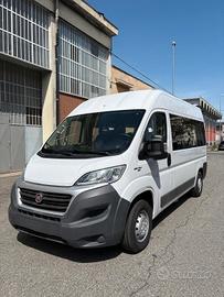 FIAT DUCATO TETTO ALTO