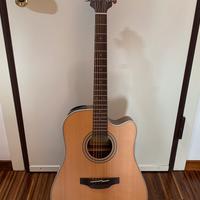 Takamine GD20CE-NS
