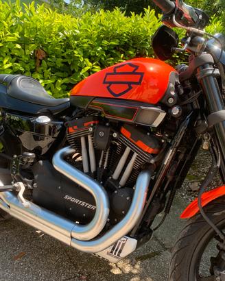 XR 1200 Harley-Davidson Cover e Codone