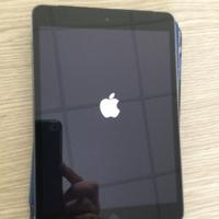 Ipad Mini 3 wifi + sim
