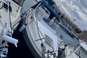 Saver 650 cabin sport