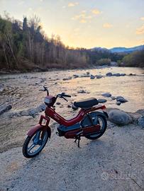 Motorino Atala