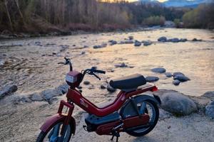 Motorino Atala