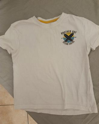 Maglie 