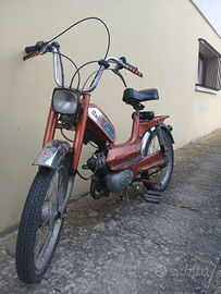 Califfo deluxe rizzato