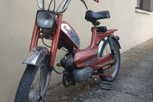 Califfo deluxe rizzato