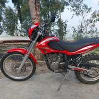 Moto Enduro Beta Alp 4.0