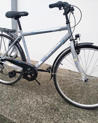bicicletta da uomo