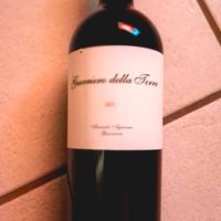 GUERRIERO DELLA TERRA 2021