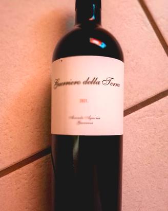 GUERRIERO DELLA TERRA 2021