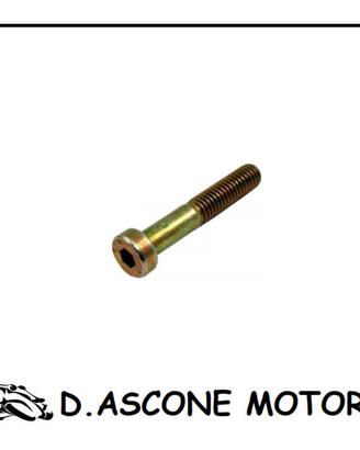 Vite Supporto Marmitta Ducati Monster