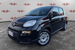 FIAT Panda 1.0 FireFly 70cv Hybrid, PRONTA CO...
