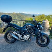 Suzuki SFV Gladius 650 - 2014 abs