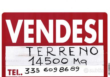 Terrreno