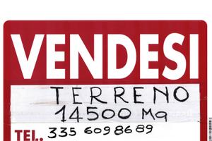 Terrreno