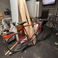 Bici corsa Carlo Borghi olympia