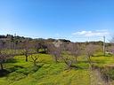 ter-agricolo-a-polignano-a-mare