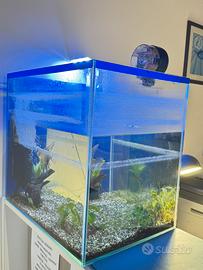 Acquario completo