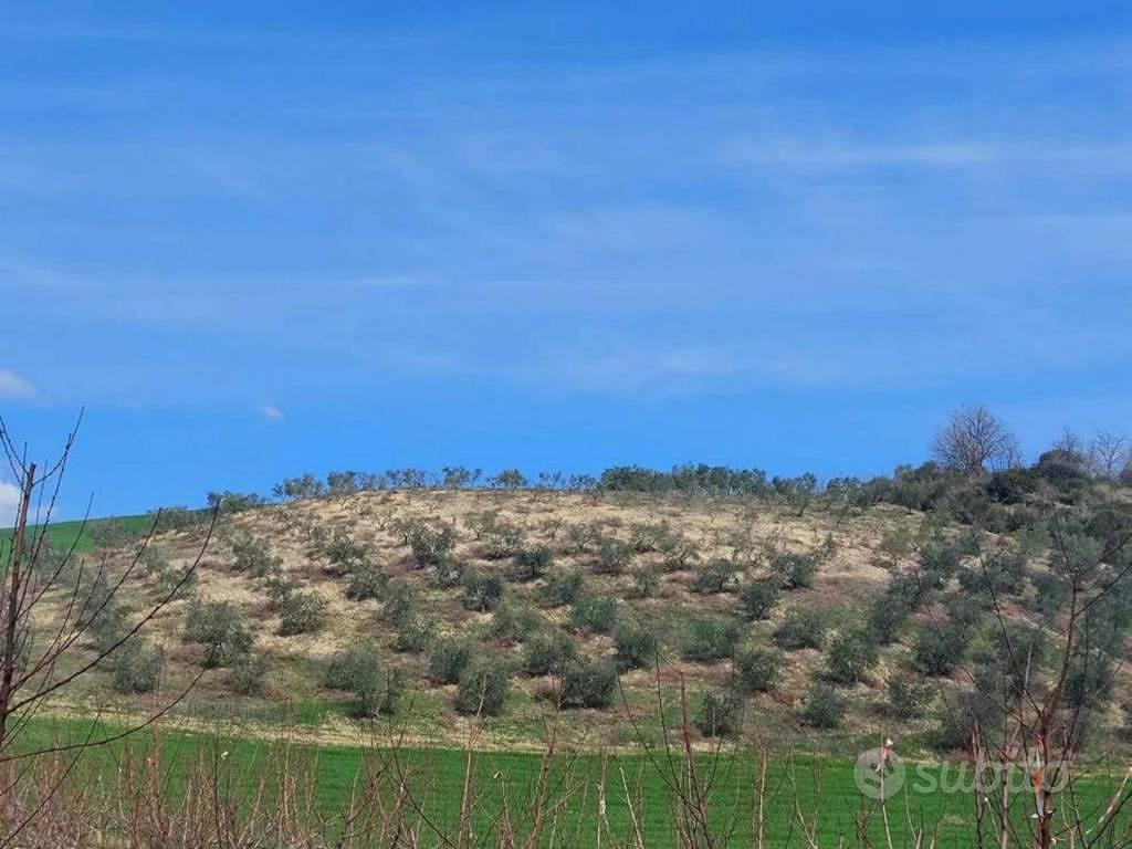 Immobile in asta di 43400 m² a Altomonte - Vista 4