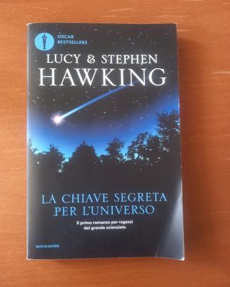 La chiave segreta per l'universo