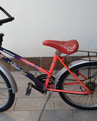 Mountain Bike ragazza