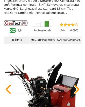 spazzaneve professionale