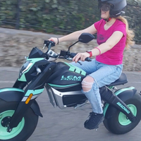Moto elettrica LEM beachmad 50