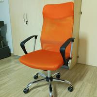 Sedia Ufficio con Supporto Lombare